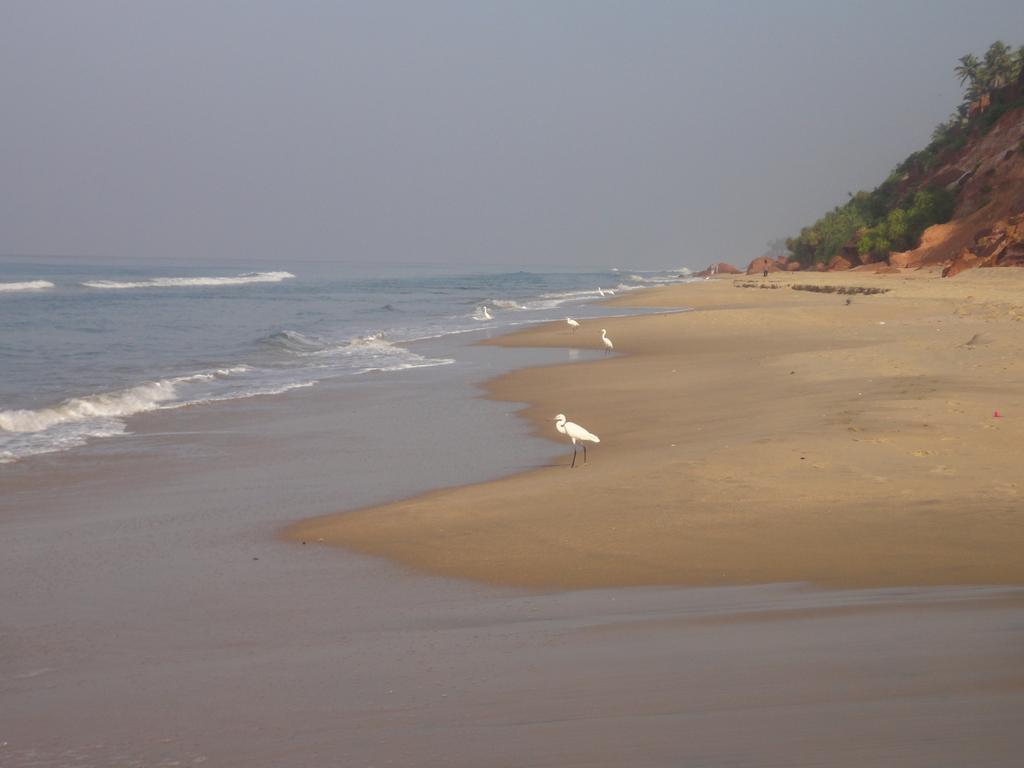 The Oceano Hotel Varkala Exterior foto